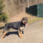 Barnabáš – fotografie 18