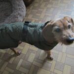 Tym – fotografie 18