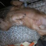 Tym – fotografie 16