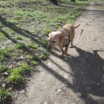 Tym – fotografie 20