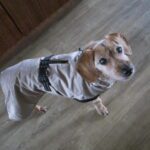 Tym – fotografie 19