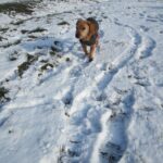 Tym – fotografie 17