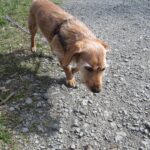 Tym – fotografie 21