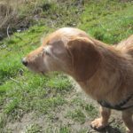 Tym – fotografie 22