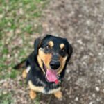 Barnabáš – fotografie 24