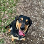 Barnabáš – fotografie 25