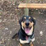 Barnabáš – fotografie 27