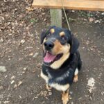 Barnabáš – fotografie 26