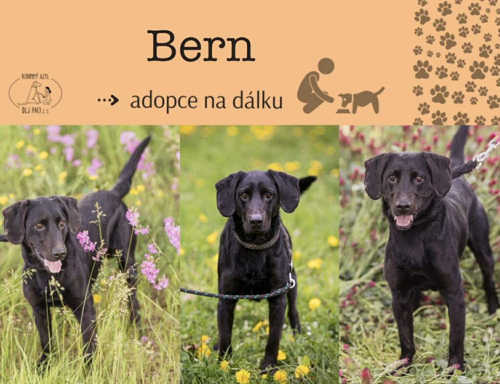 Bern – fotografie 2