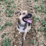 Frodo – fotografie 9