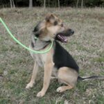 Frodo – fotografie 10