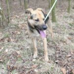 Frodo – fotografie 13