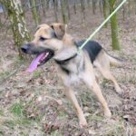 Frodo – fotografie 14