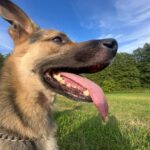 Frodo – fotografie 3