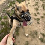 Frodo – fotografie 5