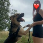 Frodo – fotografie 7