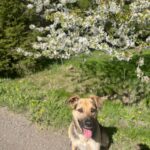Frodo – fotografie 15