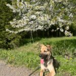 Frodo – fotografie 17