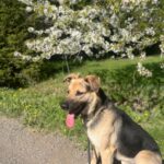 Frodo – fotografie 18
