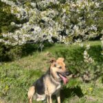 Frodo – fotografie 19