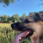 Frodo – fotografie 6