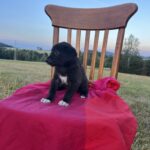 Belly – fotografie 8