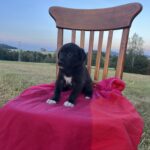 Belly – fotografie 9
