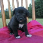 Belly – fotografie 4