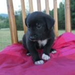 Belly – fotografie 5