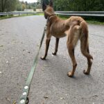 Alexis - V LÉČENÍ – fotografie 12