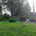 Pozdravy z nového domova: