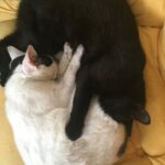 Pozdravy z nového domova: