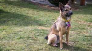 Pozdravy z nového domova: