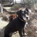 Pozdravy z nového domova: