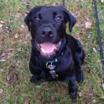 Pozdravy z nového domova: