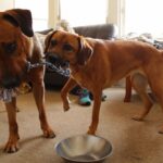 Pozdravy z nového domova: