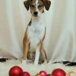 Pozdravy z nového domova: