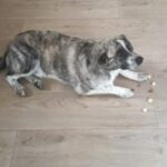 Pozdravy z nového domova: