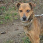 Ještě s oběma očima