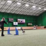 Pozdravy z nového domova: