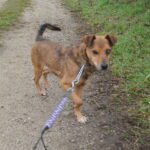 Ještě s oběma očima