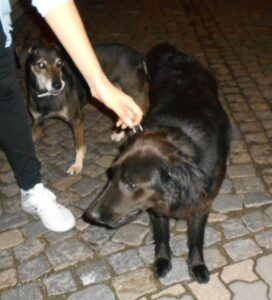 Tobi a Endy – nalezení