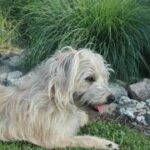 Pozdravy z nového domova: