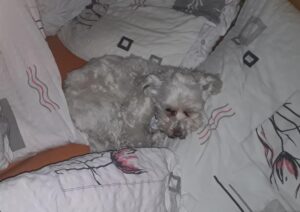 Pozdravy z nového domova: