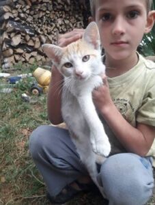 Nalezené kotě – vráceno majitelce