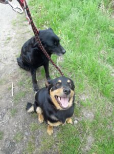 Lord a Charlie – nalezenci