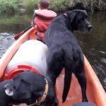 Pozdravy z nového domova: