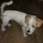 Pozdravy z nového domova: