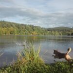 Pozdravy z nového domova: