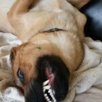 Pozdravy z nového domova: